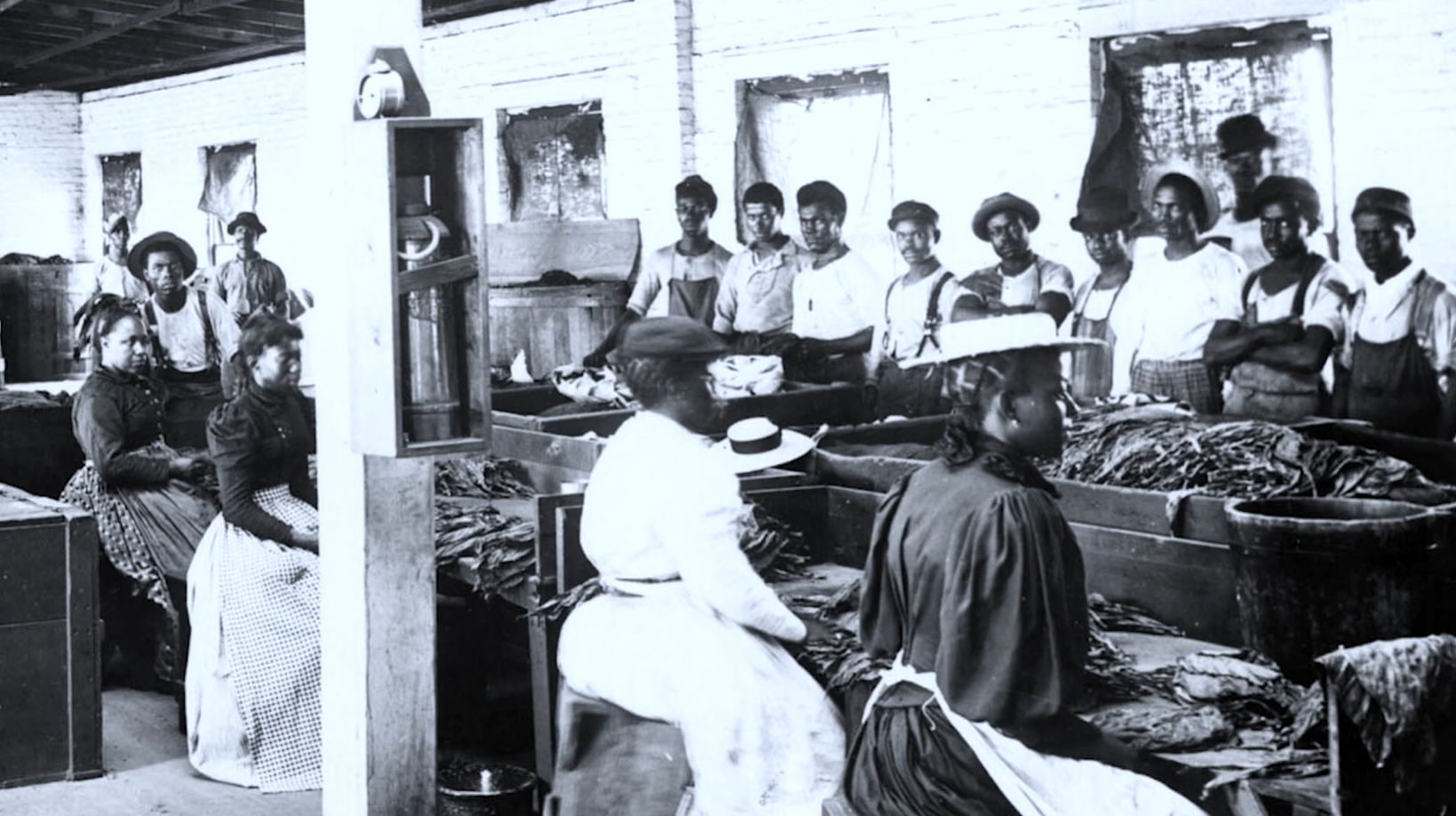 Archival photograph of Black women and men sorting tobacco leaves at long wooden tables in a brick factory